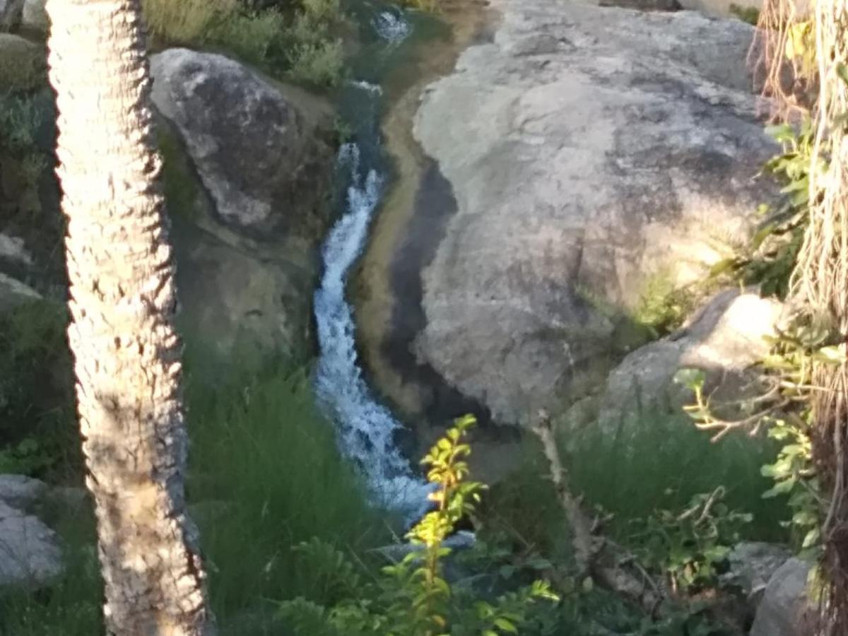 Jungle Camp Kumbhalgarh Esterno foto